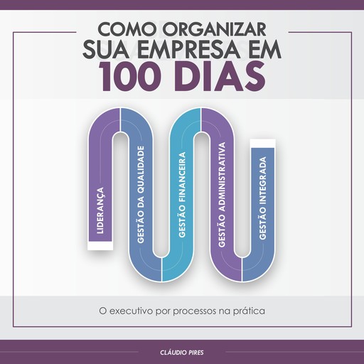 Como Organizar Sua Empresa Em 100 Dias, Cláudio Pires