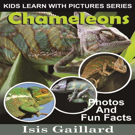 Chameleons, Isis Gaillard