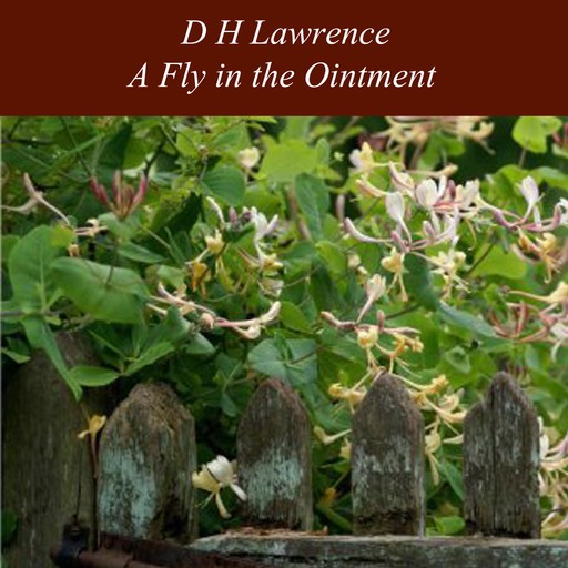 A Fly in the Ointment, David Herbert Lawrence