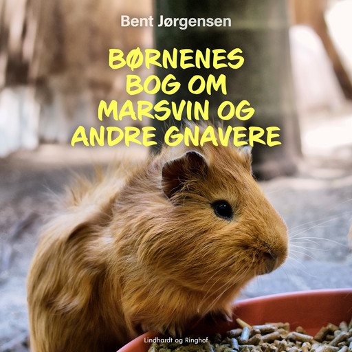 Børnenes bog om marsvin og andre gnavere, Bent Jörgensen