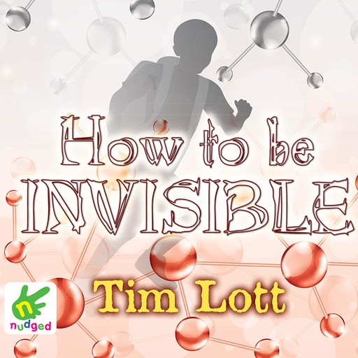 How To Be Invisible, Tim Lott