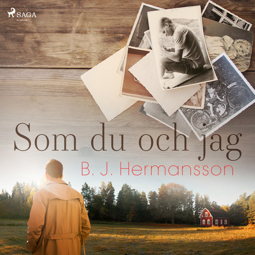 Som du och jag, B.J. Hermansson