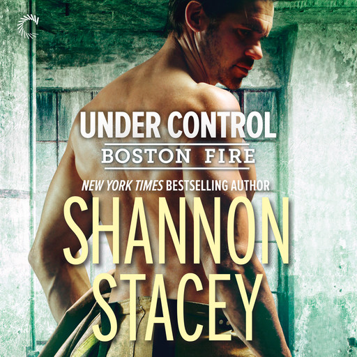 Under Control, Shannon Stacey