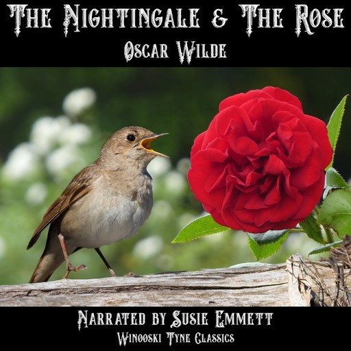The Nightingale & the Rose, Oscar Wilde