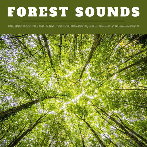 Forest Sounds: Forest Nature Sounds for Meditation, Deep Sleep & Relaxation (XXL Bundle), Nature Sounds Therapy