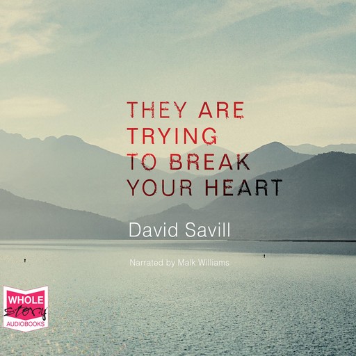 They Are Trying to Break Your Heart, David Savill