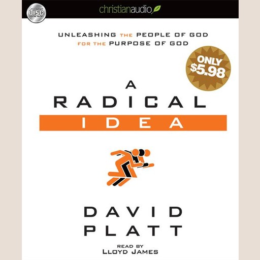 A Radical Idea, David Platt