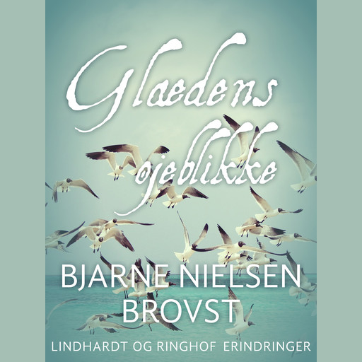 Glædens øjeblikke, Bjarne Nielsen Brovst