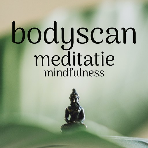 Bodyscan: Mindfulness Meditatie, Suzan van der Goes
