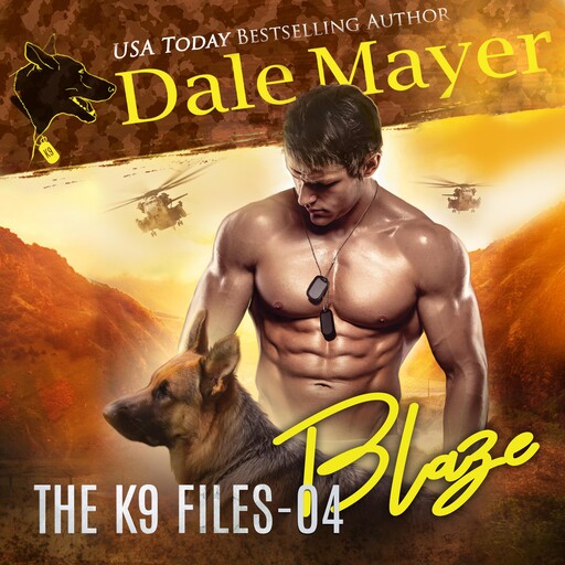 Blaze, Dale Mayer