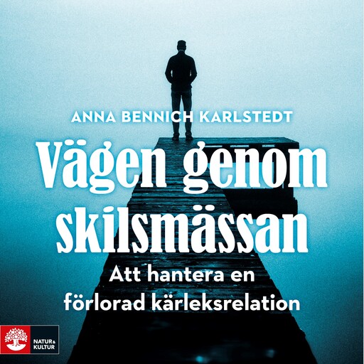Vägen genom skilsmässan : att hantera en förlorad kärleksrelation, Anna Bennich Karlstedt