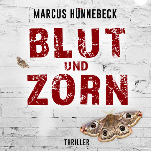 Blut und Zorn - Drosten und Sommer, Band 3 (ungekürzt), Marcus Hünnebeck