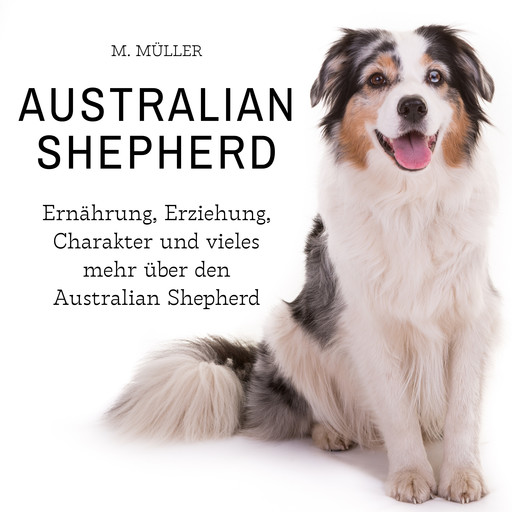 Australian Shepherd, Müller