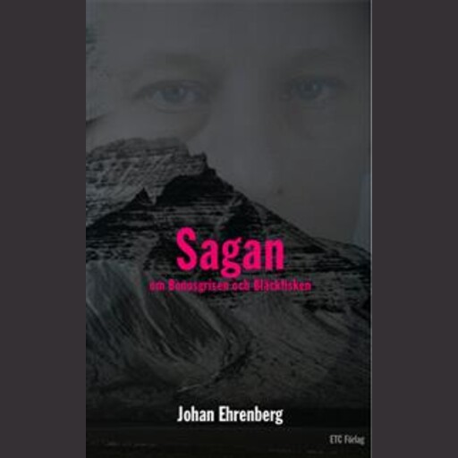 Sagan om Bonusgrisen och Bläckfisken, Johan Ehrenberg