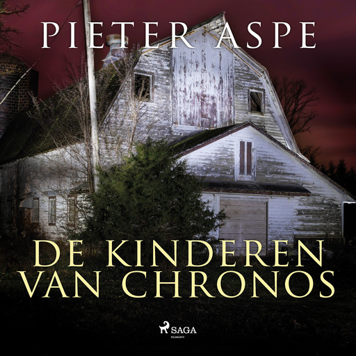 De kinderen van Chronos, Pieter Aspe