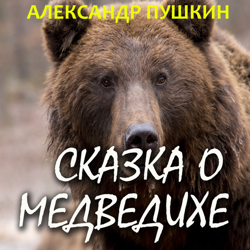 Сказка о медведихе, Александр Пушкин