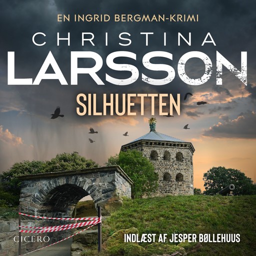 Silhuetten - 4, Christina Larsson