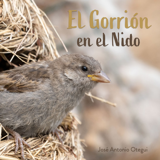 El Gorrión en el Nido, José Antonio Otegui