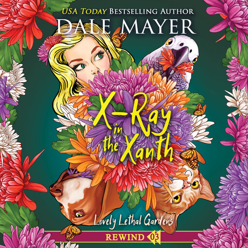 X-Ray in the Xanth, Dale Mayer