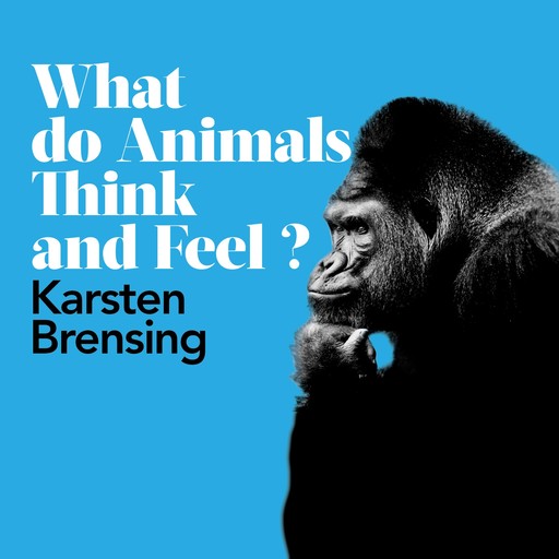 What Do Animals Think and Feel?, Karsten Brensing