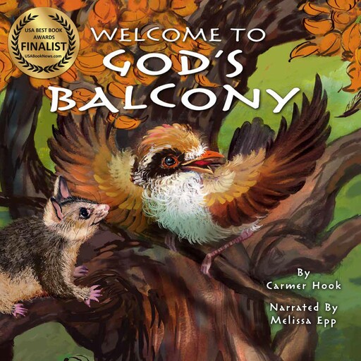 Welcome To God's Balcony, Carmer Hook