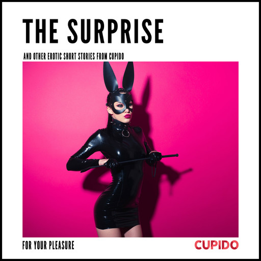 The Surprise - and other erotic short stories from Cupido, Cupido