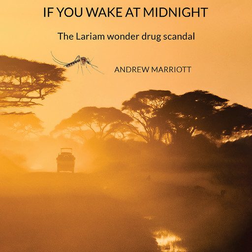 If You Wake at Midnight, Andrew Marriott