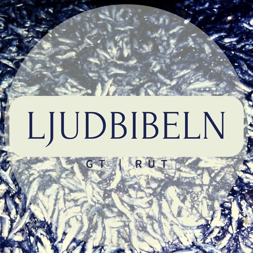 GT | Rut, Ljudbibeln