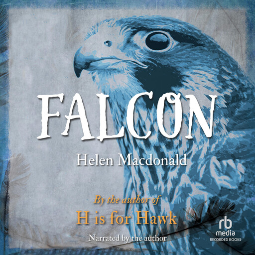 Falcon, Helen Macdonald