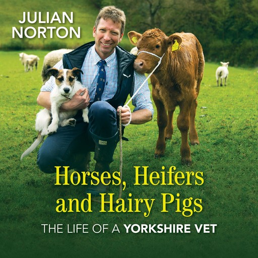 Horses, Heifers and Hairy Pigs, Julian Norton