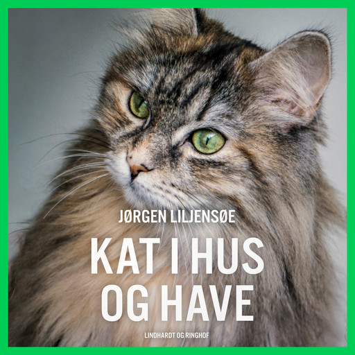 Kat i hus og have, Jørgen Liljensøe