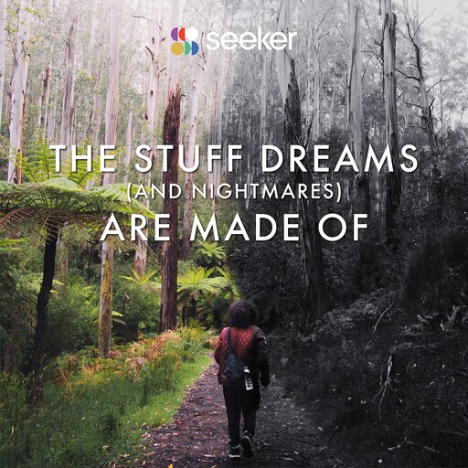 The Stuff Dreams (And Nightmares) Are Made Of, Seeker