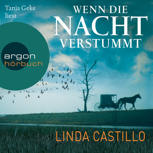 Wenn die Nacht verstummt - Kate Burkholder ermittelt, Band 3 (Gekürzte Lesung), Linda Castillo