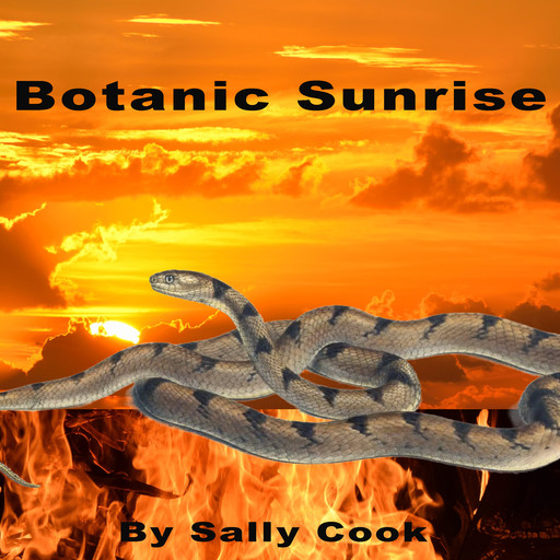 Botanic Sunrise, Sally Cook