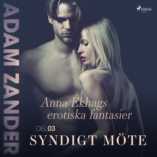 Syndigt möte – Anna Ekhags erotiska fantasier del 3, Adam Zander