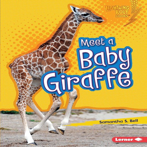 Meet a Baby Giraffe, Samantha Bell