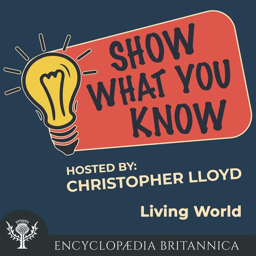 Living World, Rick Siggelkow