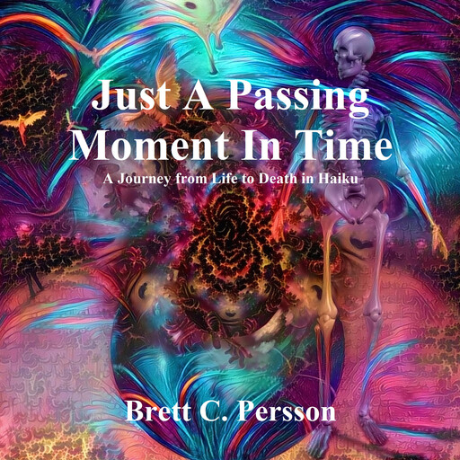 Just A Passing Moment In Time, Brett C. Persson