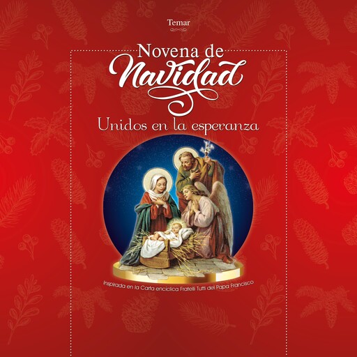 Novena de Navidad. Unidos en la esperanza, Temar