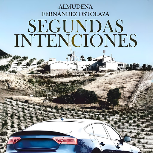 Segundas intenciones, Almudena Fernández