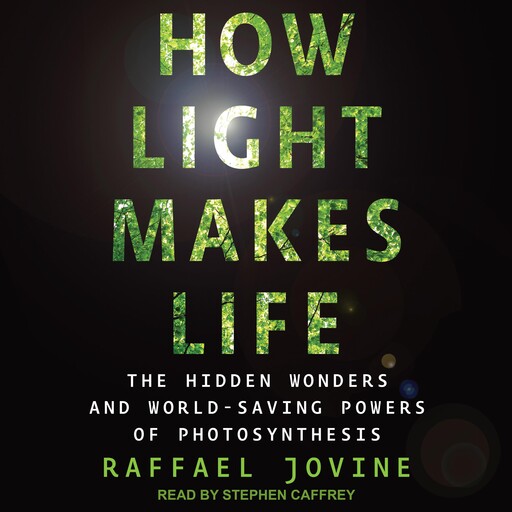 How Light Makes Life, Raffael Jovine