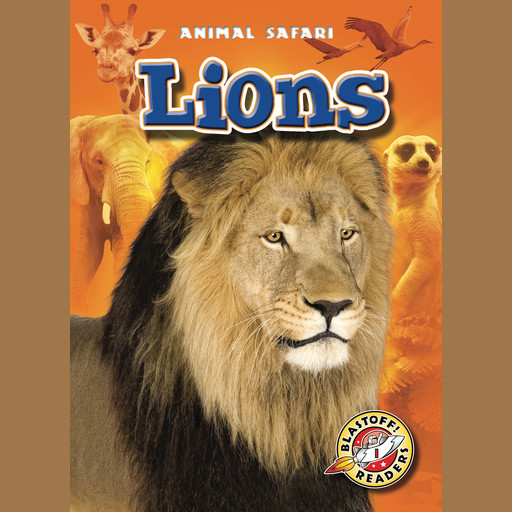 Lions, Derek Zobel