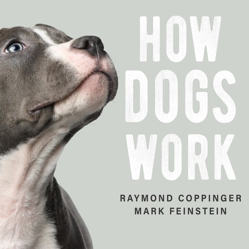 How Dogs Work, Raymond Coppinger, Mark Feinstein