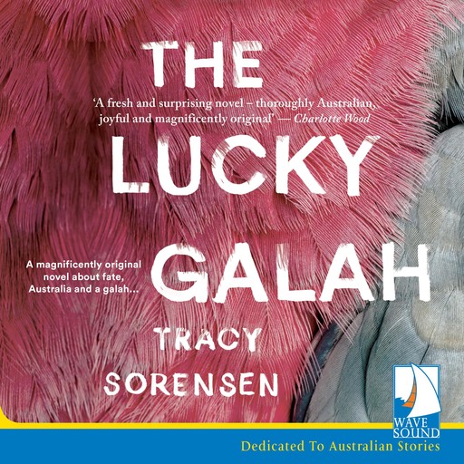 The Lucky Galah, Tracy Sorensen