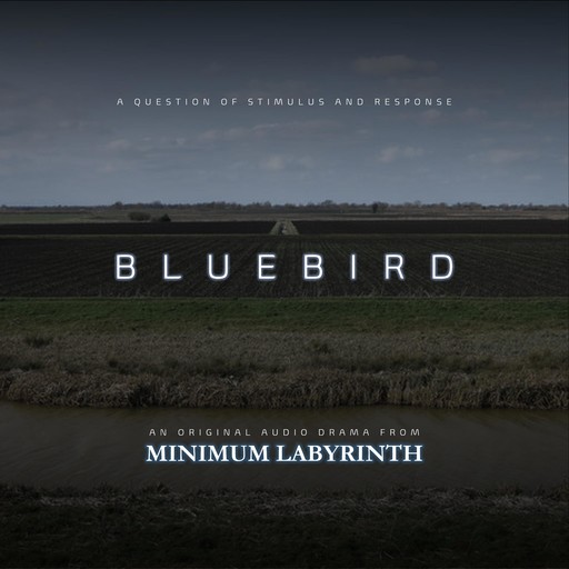 Bluebird, Rich Cochrane, Robert Kingham