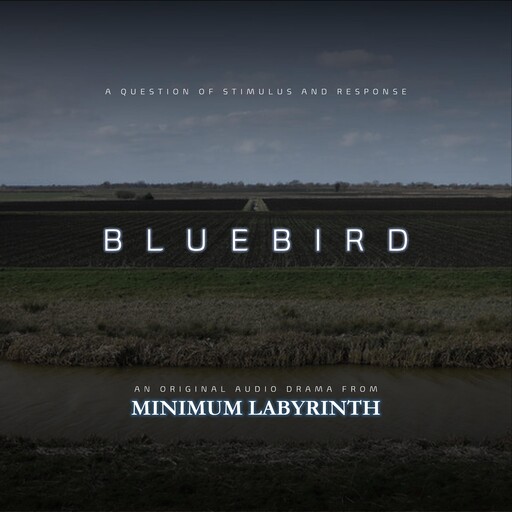 Bluebird, Rich Cochrane, Robert Kingham