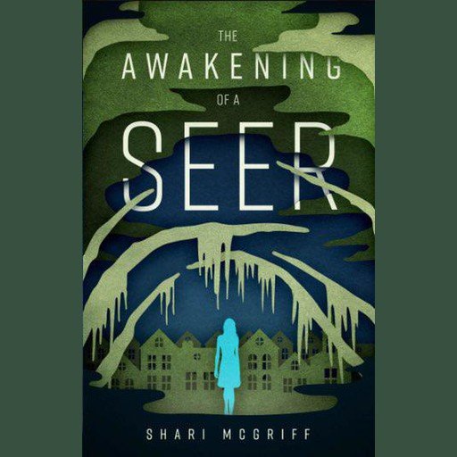 The Awakening of a Seer, Shari McGriff