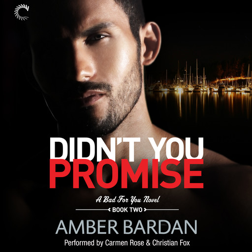 Didn't You Promise, Amber Bardan