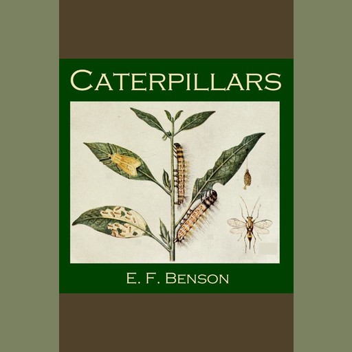 Caterpillars, Edward Benson