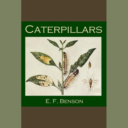 Caterpillars, Edward Benson